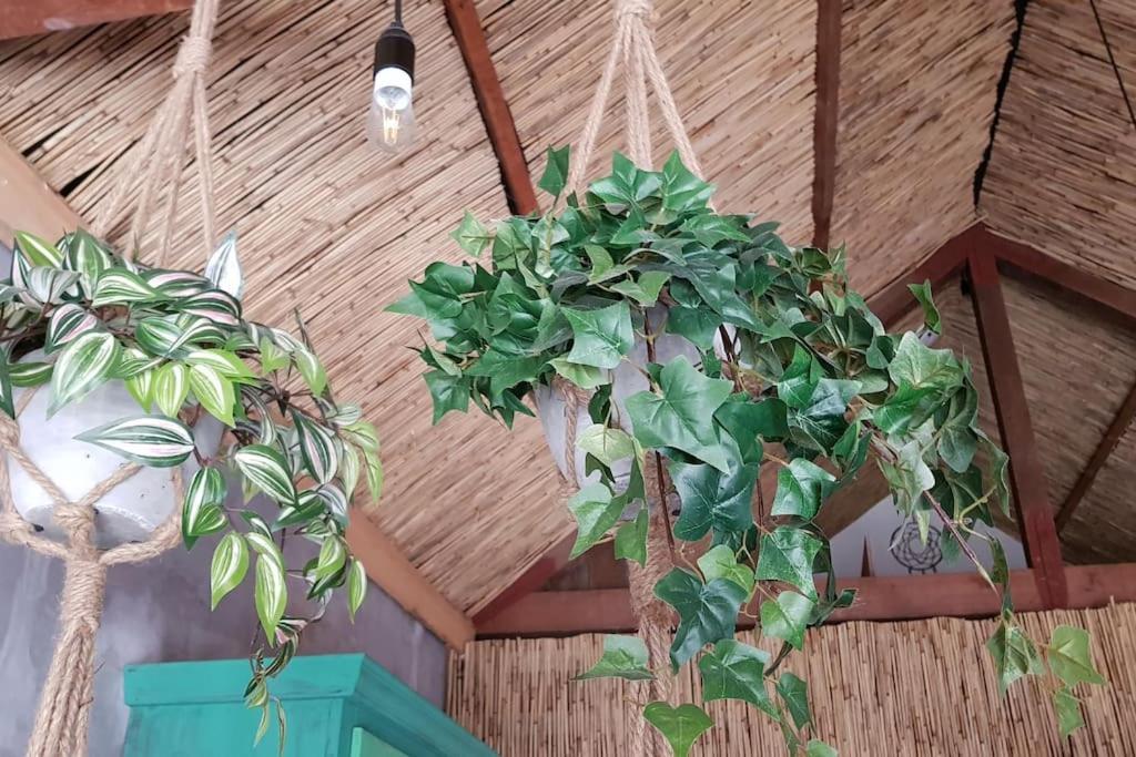 Balistyle Guesthouse Incl Hottub Near Amsterdam And Haarlem 펠선자위트 외부 사진