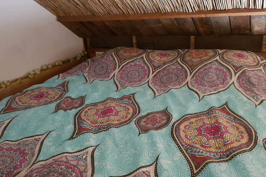 Balistyle Guesthouse Incl Hottub Near Amsterdam And Haarlem 펠선자위트 외부 사진